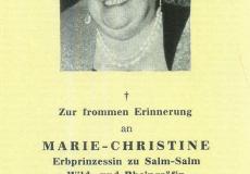 Erinnerungsschreiben - Kaiserliche Hoheit Marie-Christine.